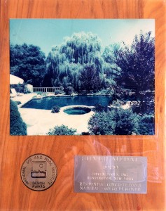 1980s Award Winning Pool